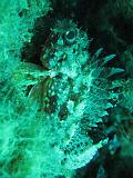 2009-09-11 12-38-29S